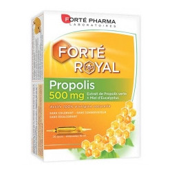 FORTE ROYAL PROPOLIS 500 AMP X20